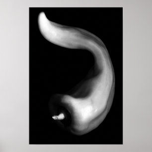 Poster Poivre rond Gros plan noir et blanc Photographie