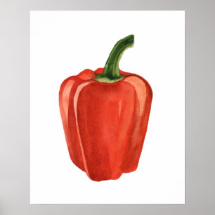Poster Poivron rouge bio Aquarelle