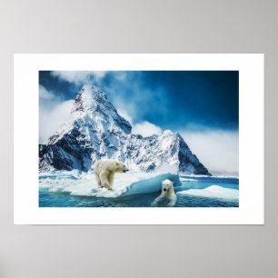 Poster-Polar Bears Poster
