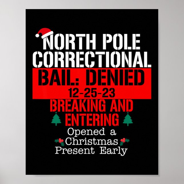 Poster Pôle Nord Prison refusée Breaking et E (Devant)