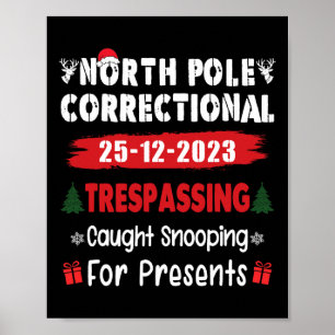 Poster Pôle Nord Tri Correctionnel Pris Snooping P