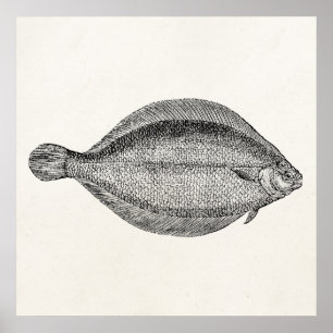 Poster Pole vintage poisson poisson poisson Modèle person