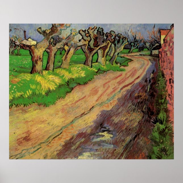 Poster Pollard Willows par Vincent van Gogh (Devant)