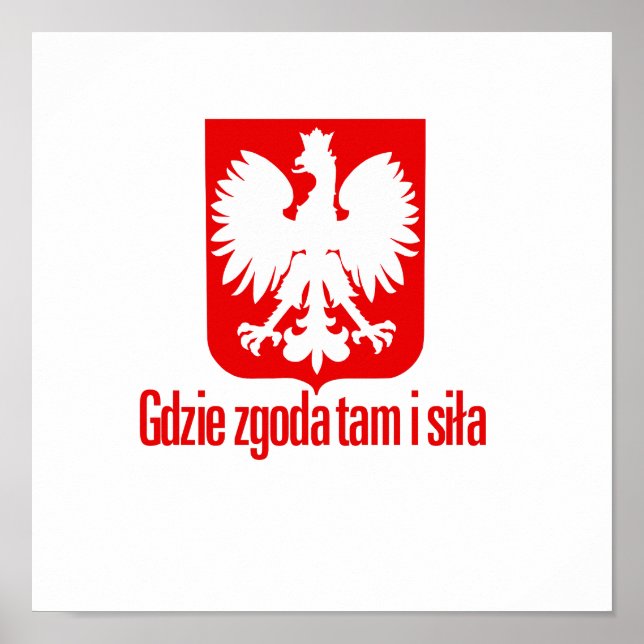 Poster Pologne - Avec unité Force (Devant)