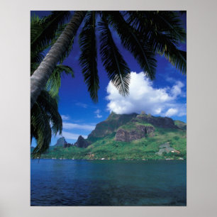 Poster Polynésie française, Moorea. Baie de Cooks. Vert