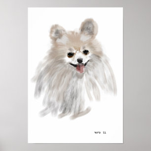 Poster Pomerainian