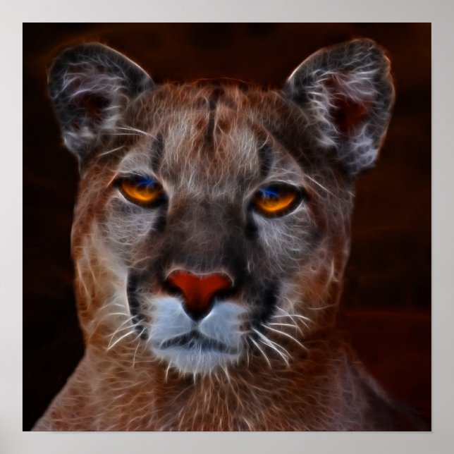 Poster Pomme de lion de montagne (Devant)