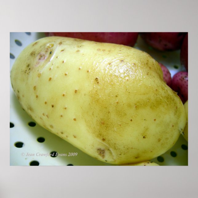 Poster Pomme de terre Yukon Gold (Devant)