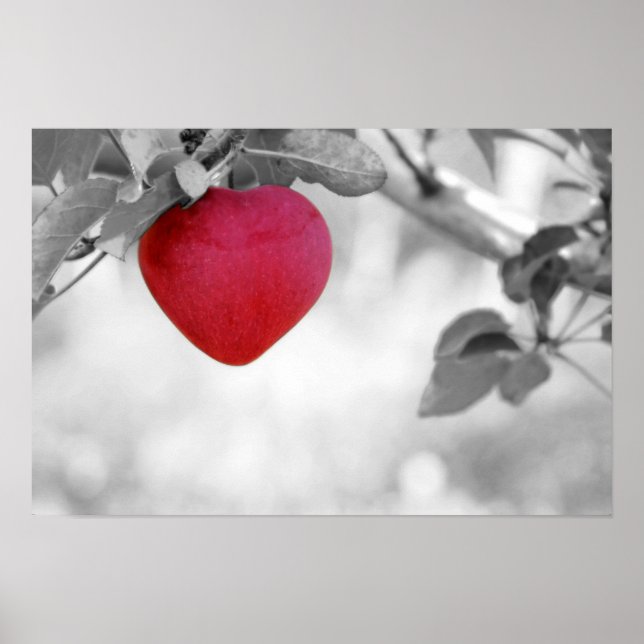 Poster Pomme en forme de cœur rouge dramatique (Devant)
