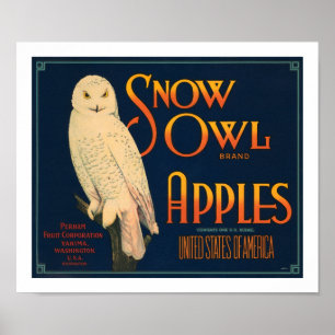 Poster Pommes de marque de hibou de neige