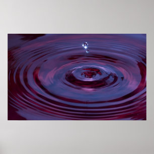 Poster Pommes d'eau et gouttelettes dans l'étang pourpre