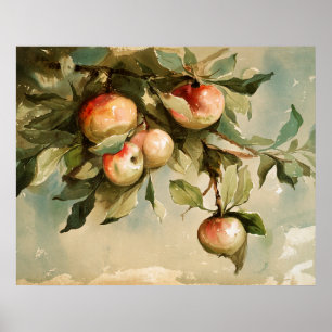 Poster Pommes d'une branche