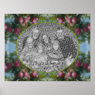 Poster Pommes Rouges Sur Arbre Ajouter Votre Photo