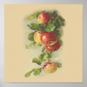 Poster Pommes vintages