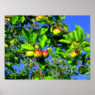 Poster Pommier