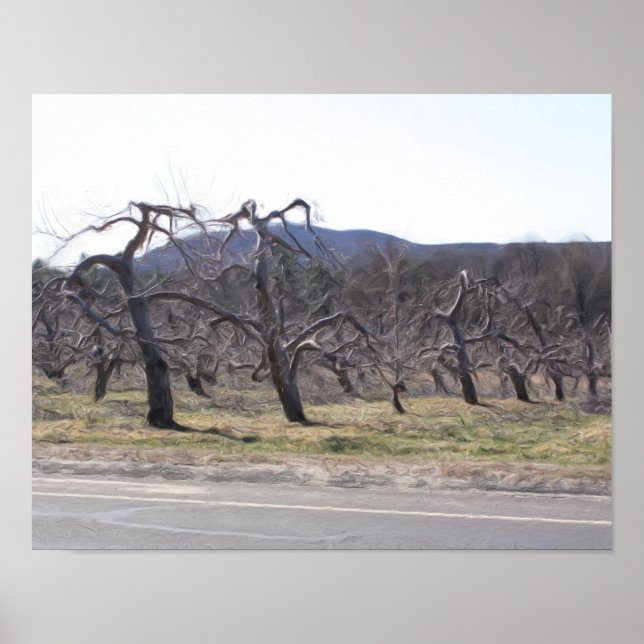 Poster Pommiers Dans Une Ligne Huile Photo Peinture (Devant)