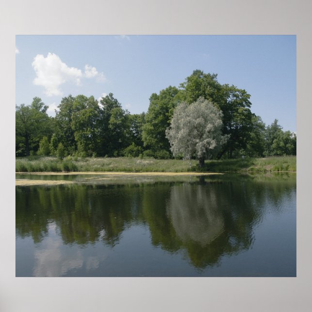 Poster Pond (Devant)