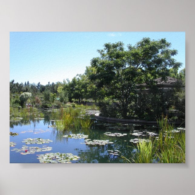 Poster Pond (Devant)