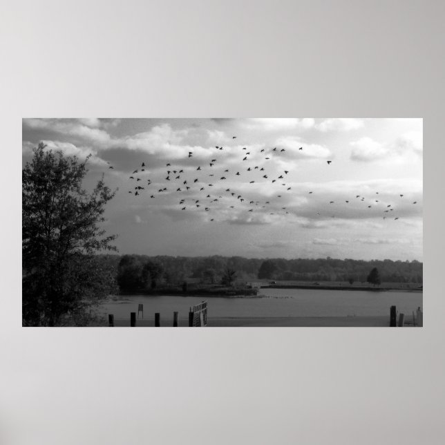 Poster Pond (Devant)