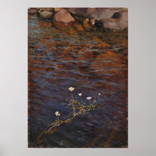 Poster Pond Water Crowfoot (1895) Eero Järnefeel