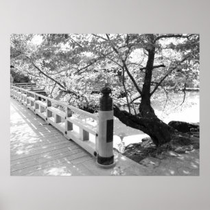 Poster Pont