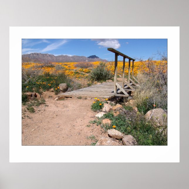 Poster Pont à pied et pavois (Devant)