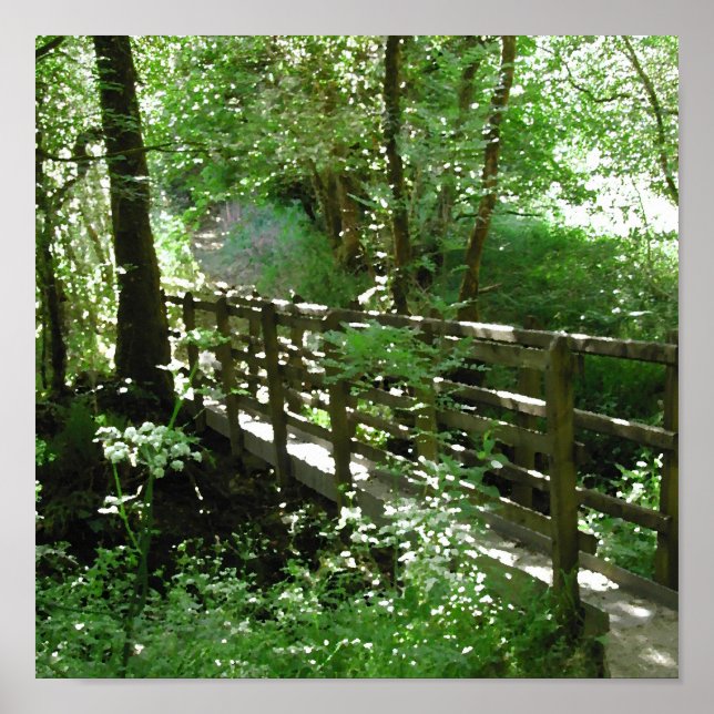 Poster Pont à Woodland. (Devant)