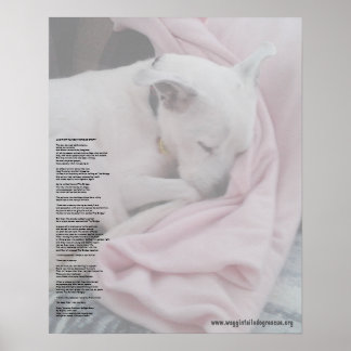 Poster Pont arc-en-ciel du sauveteur (édité)