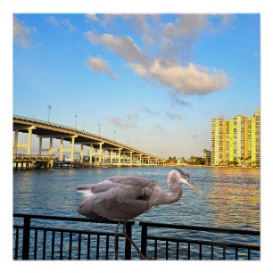 Poster Pont Blue Heron. Riviera Beach. Floride