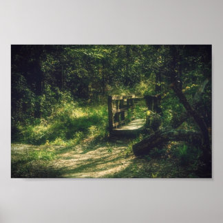 Poster Pont dans les bois
