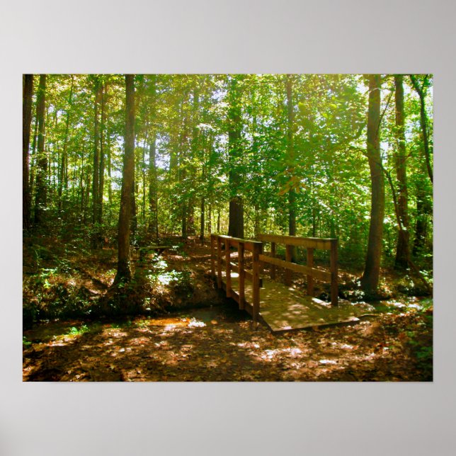 Poster Pont dans les Bois (Devant)