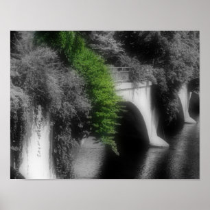 Poster Pont De Fleurs Couleur Partielle