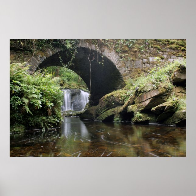 Poster Pont de la cascade Torc (Devant)