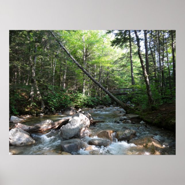 Poster Pont de la rivière Pemigewasset dans le New Hampsh (Devant)