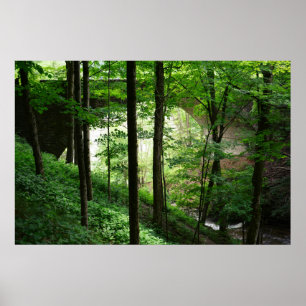 Poster Pont de Letchworth Forêt verte 36" x 24"