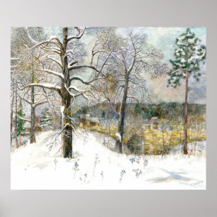 Poster pont d'hiver