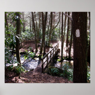 Poster Pont du sentier Appalachian à Laurel Fork Tennesse