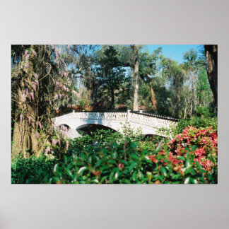 Poster Pont Magnolia