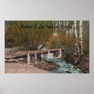 Poster Pont naturel Robert E. Lee