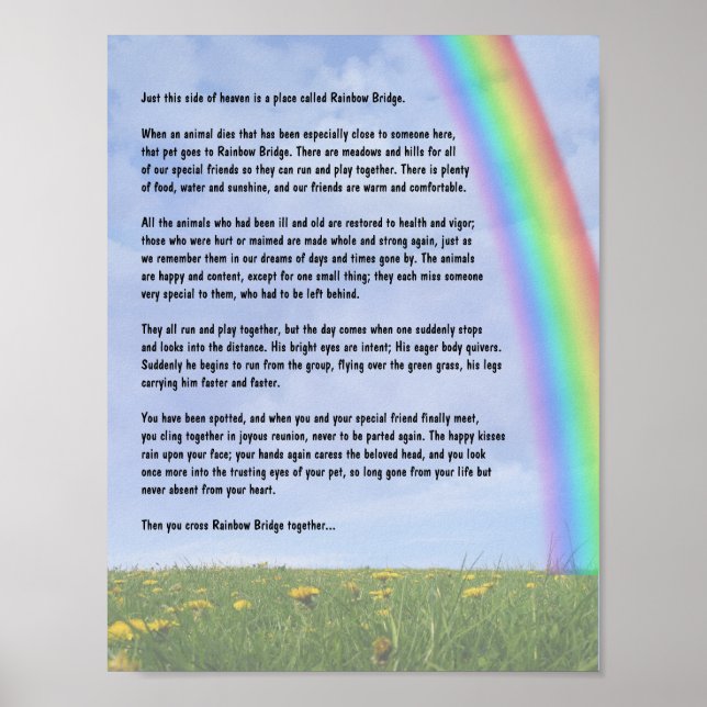 Poster Pont Rainbow (Devant)