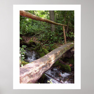 Poster Pont rustique