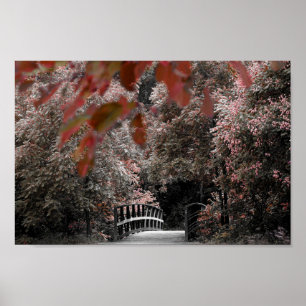 Poster Pont Rustique Avec De Beaux Arbres Paysage Photo