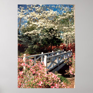 Poster Pont Spring