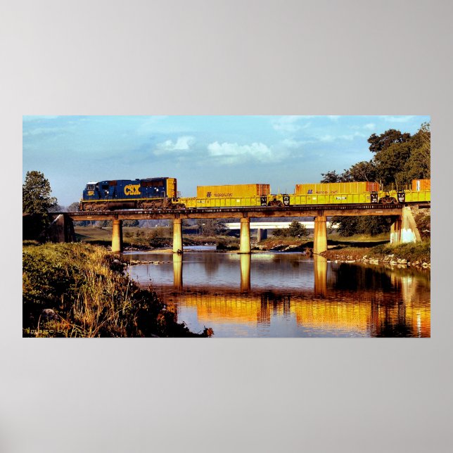 Poster Pont Tanglewood (Devant)