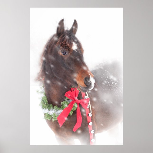 Poster Pony de Noël (Devant)