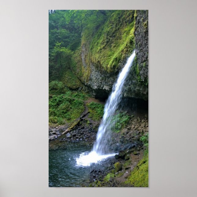 Poster Ponytail Falls, Oregon (Devant)