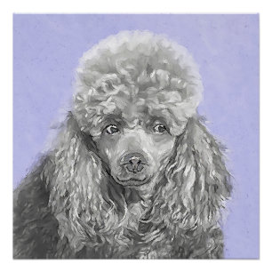 Poster Poodé Jouet miniature Argent gris bleu Chien Art