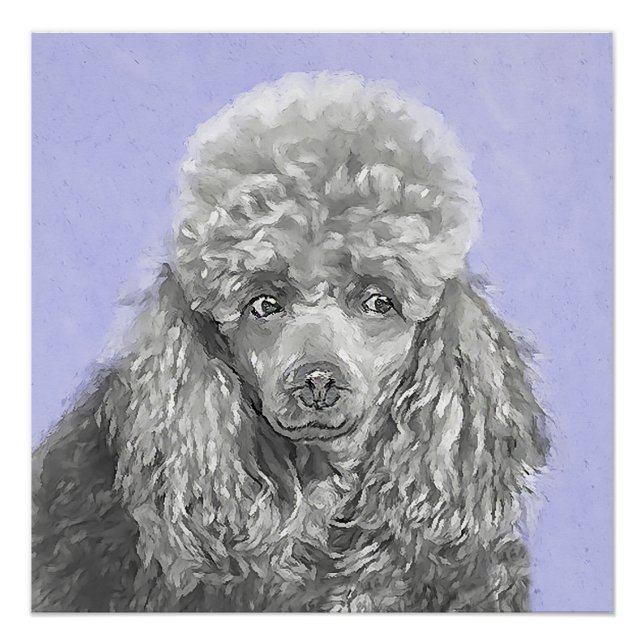 Poster Poodé Jouet miniature Argent gris bleu Chien Art (Devant)