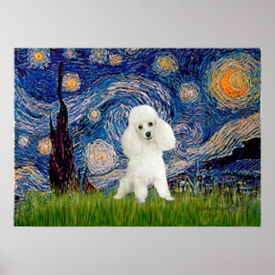 Poster Poodle (14W) - Nuit étoilée