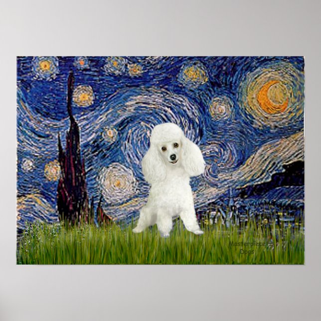 Poster Poodle (14W) - Nuit étoilée (Devant)